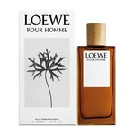 LOEWE Pour Homme new